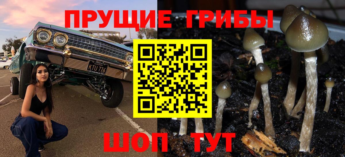Псилоцибиновые грибы Cubensis Бугуруслан